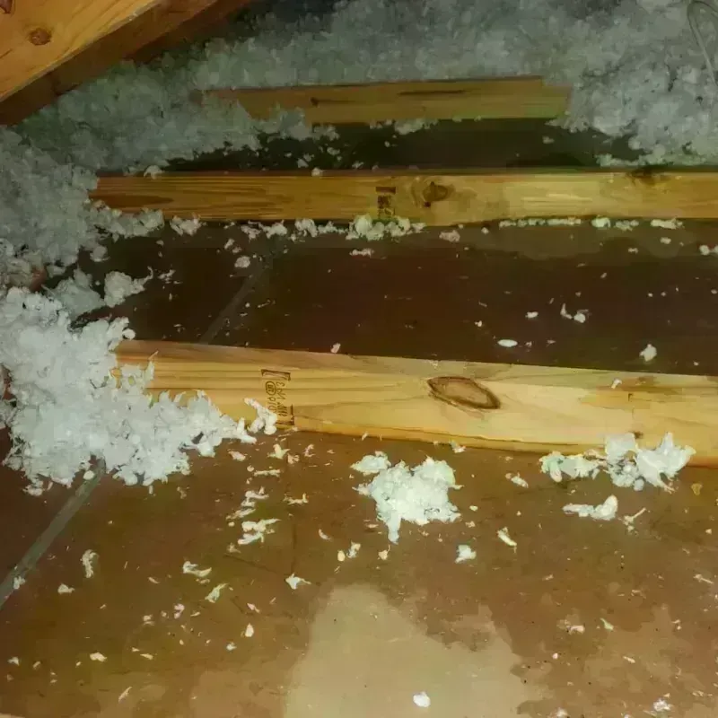 Attic Water Damage in Lambertville, NJ